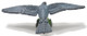 Papo Hawk with Wings Spread Wide - Rear View