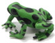Frog - Equatorial Green (Papo)