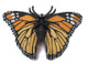 Butterfly - Monarch (Papo)