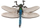 Dragonfly - Emperor (Papo)