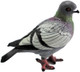 Pigeon (Papo)