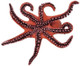 Papo Little Octopus - Bottom View