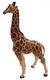 Giraffe Male (Papo)