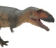 Giganotosaurus - Lucas - New Model (PNSO)
