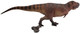 Tyrannosaurus Rex - Cameron (PNSO)