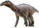 Iguanodon - Harvey (PNSO)