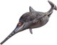 Ophthalmosaurus - Brook (PNSO)