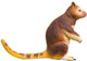 PNSO Jesse the Goodfellow's Tree-Kangaroo - Side View