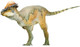 Pachycephalosaurus - Austin (PNSO)