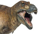 Tyrannosaurus rex - Wilson - Large (PNSO)