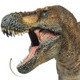 Tyrannosaurus rex - Wilson - Large (PNSO)