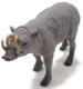 Babirusa (Safari Ltd.)