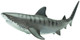 Safari Ltd Tiger Shark - Right Side View