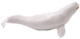 Whale - Beluga (Safari Ltd.)