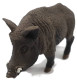Pig - Wild Boar (Safari Ltd.)