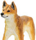 Safari Ltd. Dingo Figure - Front View