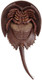 Horseshoe Crab (Safari Ltd.)