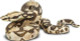 Snake - Boa Constrictor (Safari Ltd.)