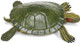 Turtle - Red Eared Slider (Safari Ltd.)