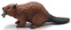 Beaver (Safari Ltd.)