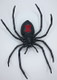 Safari Ltd Black Widow Spider - Top View