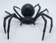Safari Ltd Black Widow Spider - Front View
