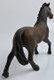 Oldenburger Stallion (Schleich)