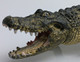 Alligator (Schleich)