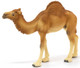 Camel - Dromedary (Schleich)