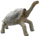 Turtle - Pinta Island Tortoise - Lonesome George 1:6 (REBOR)