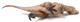 Haolonggood Tyrannosaurus Rex Brown - Belly View