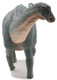 Haolonggood Apatosaurus Huangxin - Front View
