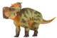 Haolonggood Pachyrhinosaurus Guo Sheng - Front Angle View