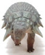 Edmontonia - Jiezhen (Haolonggood)