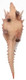 Haolonggood Edmontonia - Jiebao Dinosaur Figure -Belly View