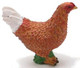 Chicken - Hen (CollectA)