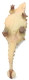 Haolonggood Tianzhenosaurus Yellow - Shixiou Dinosaur Figure - Belly View