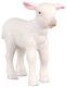 Lamb (CollectA)