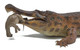 Sarcosuchus imperator Lica - River Deluxe 1:35 Model (REBOR)