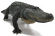 Alligator - American - Bizkit - Basking 1:6 Model (REBOR)