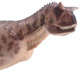 Carnotaurus - Li zhong (Haolonggood)