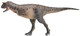 Carnotaurus - Zhou tong (Haolonggood)