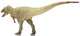 Daspletosaurus torosus - Wu song (Haolonggood)