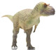 Daspletosaurus torosus - Wu song (Haolonggood)