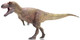 Daspletosaurus torosus - Lu zhi sheng (Haolonggood)