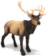 Elk (Safari Ltd.)