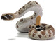 Snake - Western Diamondback Rattlesnake (Safari Ltd.)