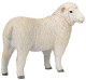Sheep - Romney Ewe (Mojo)