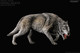 Aenocyon dirus (Fantasy Dire Wolf) "Havallagata" Nordic Ver. Deluxe 1:11 (Rebor)