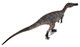 Haolonggood Baryonyx - Shan Ting- Rear Top Angle View